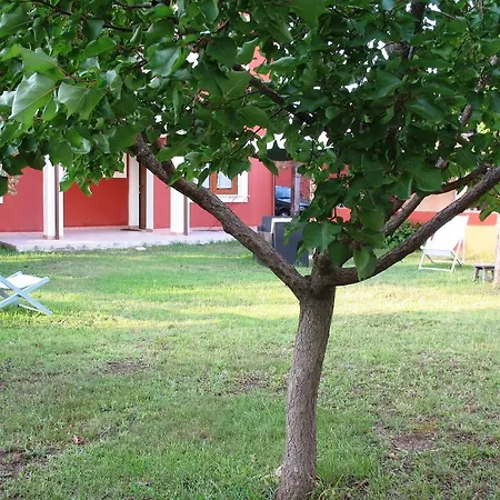 Entula Àrbatax